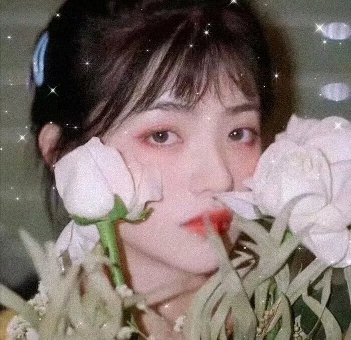 那年那兔那些事儿第七季